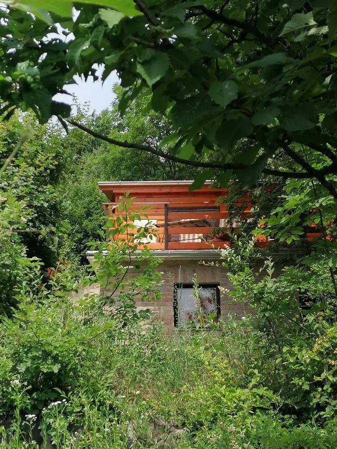 Barkoca Es Szepkilatas Vendeghaz / Cabin Verőcemaros المظهر الخارجي الصورة