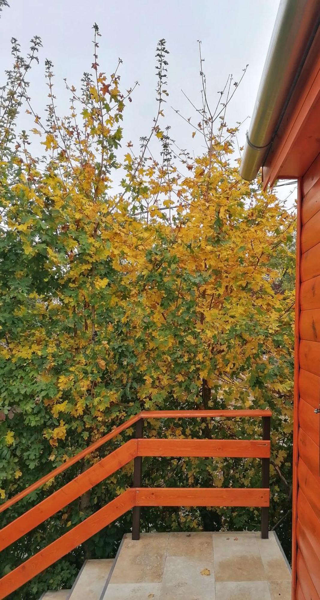 Barkoca Es Szepkilatas Vendeghaz / Cabin Verőcemaros المظهر الخارجي الصورة