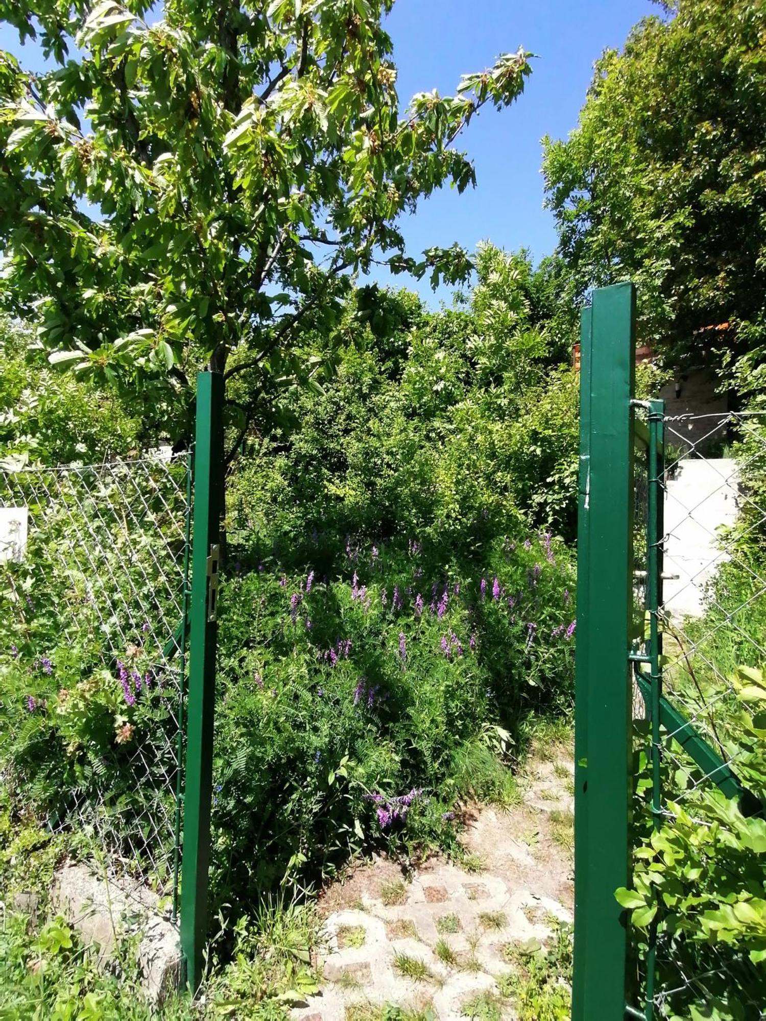 Barkoca Es Szepkilatas Vendeghaz / Cabin Verőcemaros الغرفة الصورة